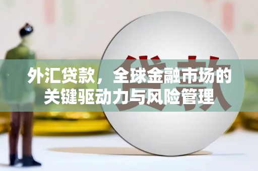 苍溪外汇贷款，全球金融市场的关键驱动力与风险管理