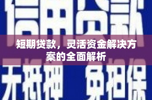 苍溪短期贷款，灵活资金解决方案的全面解析