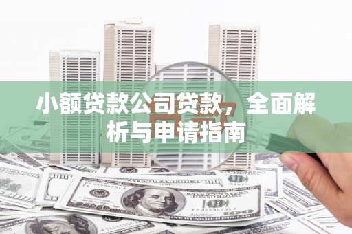 苍溪小额贷款公司贷款，全面解析与申请指南