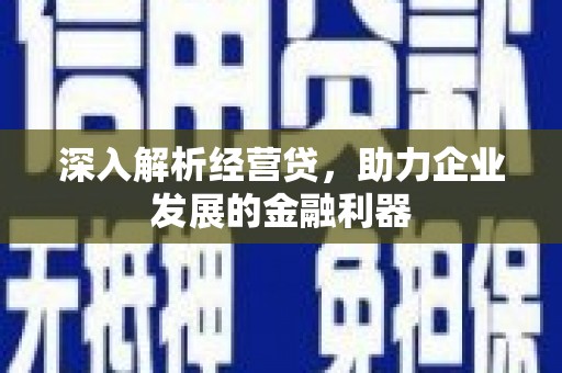 苍溪深入解析经营贷，助力企业发展的金融利器