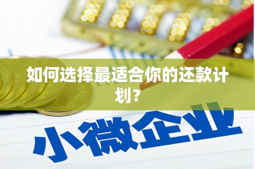 苍溪如何选择最适合你的还款计划？