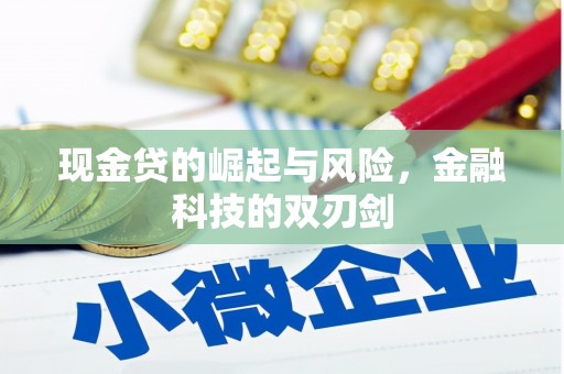 苍溪现金贷的崛起与风险，金融科技的双刃剑