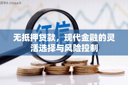 苍溪无抵押贷款，现代金融的灵活选择与风险控制