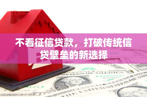 苍溪不看征信贷款，打破传统信贷壁垒的新选择