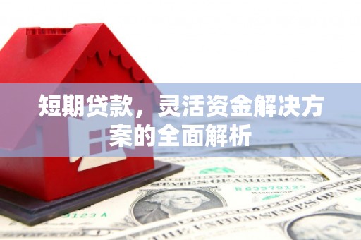 苍溪短期贷款，灵活资金解决方案的全面解析
