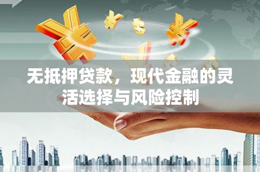 苍溪无抵押贷款，现代金融的灵活选择与风险控制