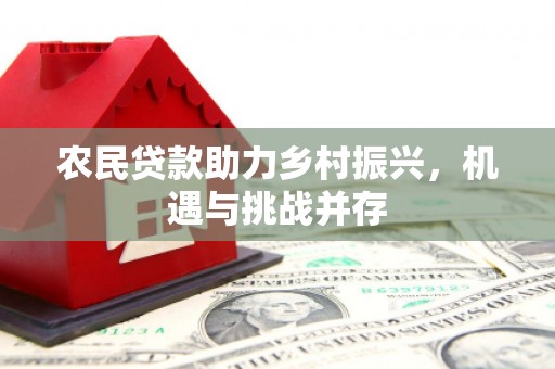 苍溪农民贷款助力乡村振兴，机遇与挑战并存