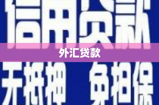 苍溪外汇贷款