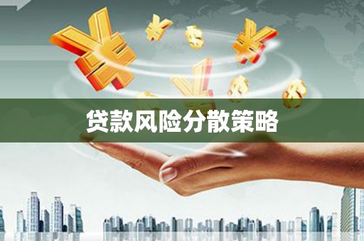 苍溪贷款风险分散策略