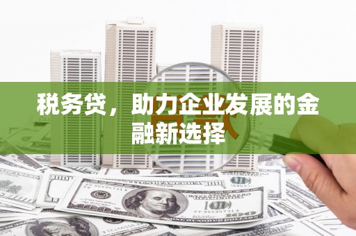 苍溪税务贷，助力企业发展的金融新选择