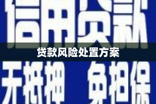 苍溪贷款风险处置方案