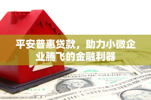 苍溪平安普惠贷款，助力小微企业腾飞的金融利器