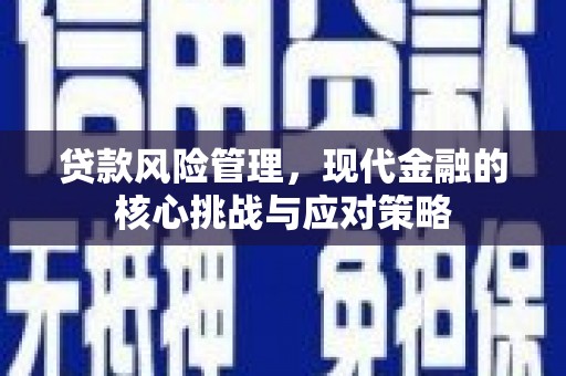 苍溪贷款风险管理，现代金融的核心挑战与应对策略
