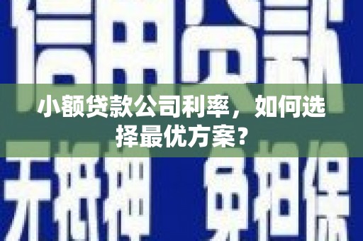 苍溪小额贷款公司利率，如何选择最优方案？