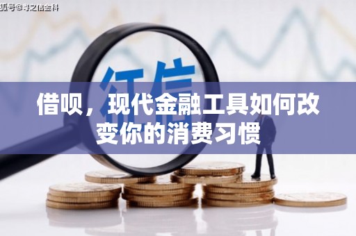 苍溪借呗，现代金融工具如何改变你的消费习惯