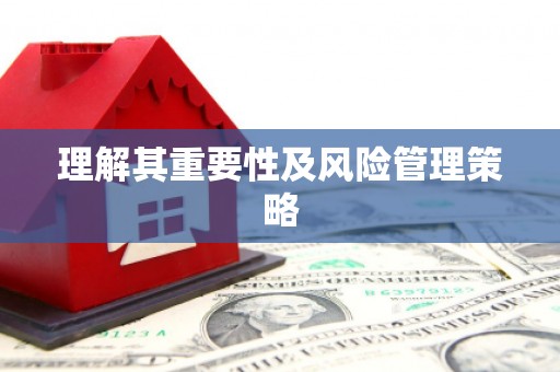 苍溪理解其重要性及风险管理策略
