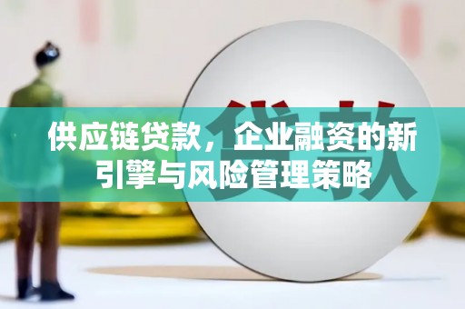 苍溪供应链贷款，企业融资的新引擎与风险管理策略