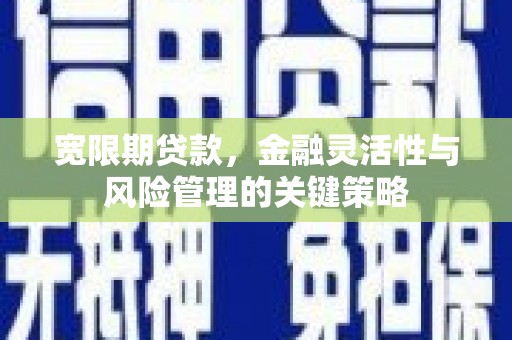 苍溪宽限期贷款，金融灵活性与风险管理的关键策略