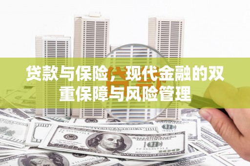 苍溪贷款与保险，现代金融的双重保障与风险管理
