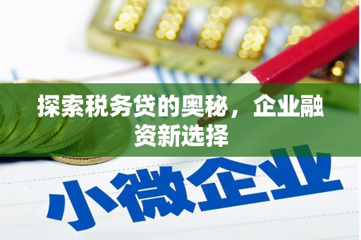 苍溪探索税务贷的奥秘，企业融资新选择