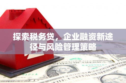 苍溪探索税务贷，企业融资新途径与风险管理策略