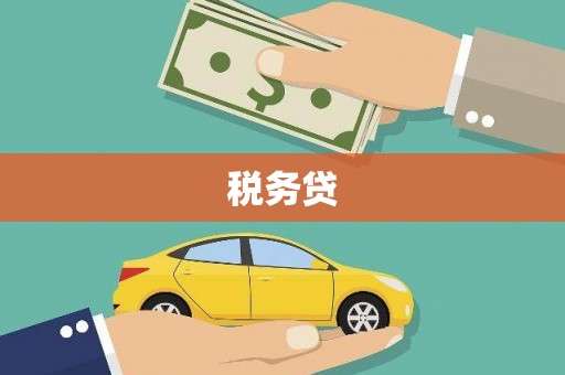 苍溪税务贷