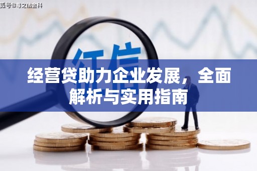 苍溪经营贷助力企业发展，全面解析与实用指南
