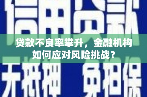 苍溪贷款不良率攀升，金融机构如何应对风险挑战？