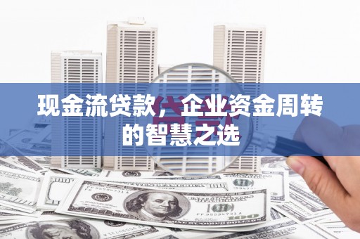 苍溪现金流贷款，企业资金周转的智慧之选