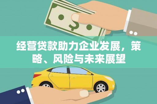 苍溪经营贷款助力企业发展，策略、风险与未来展望