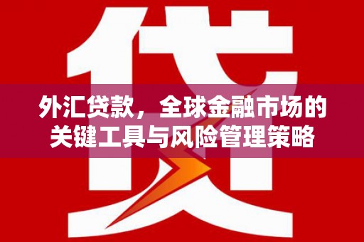 苍溪外汇贷款，全球金融市场的关键工具与风险管理策略