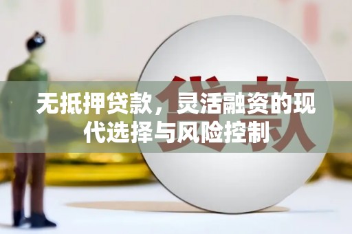 苍溪无抵押贷款，灵活融资的现代选择与风险控制