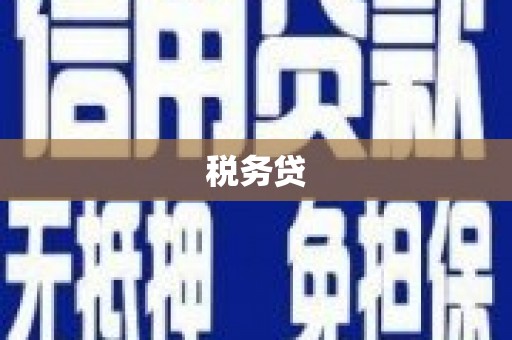苍溪税务贷