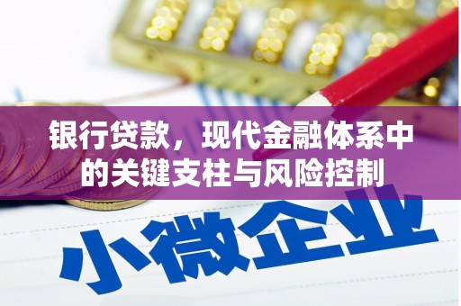 苍溪银行贷款，现代金融体系中的关键支柱与风险控制