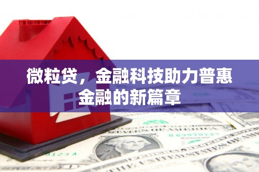 苍溪微粒贷，金融科技助力普惠金融的新篇章