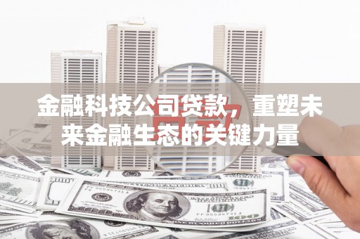 苍溪金融科技公司贷款，重塑未来金融生态的关键力量