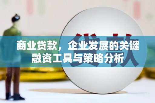 苍溪商业贷款，企业发展的关键融资工具与策略分析