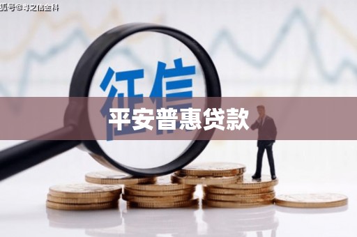 苍溪平安普惠贷款