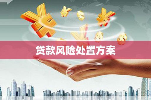 苍溪贷款风险处置方案