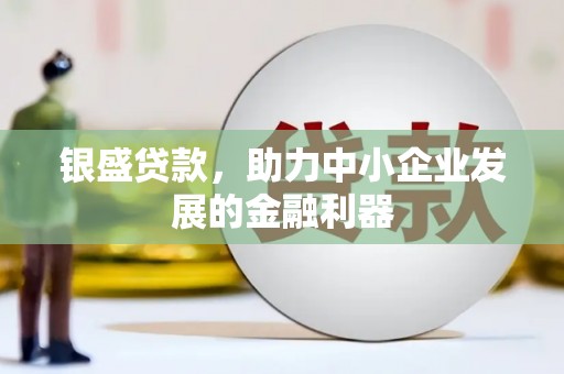 苍溪银盛贷款，助力中小企业发展的金融利器