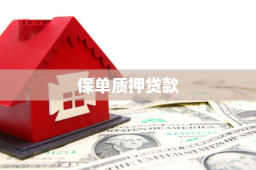 苍溪保单质押贷款