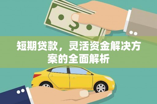 苍溪短期贷款，灵活资金解决方案的全面解析
