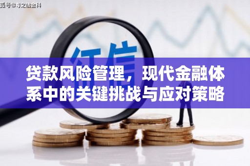 苍溪贷款风险管理，现代金融体系中的关键挑战与应对策略