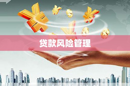 苍溪贷款风险管理