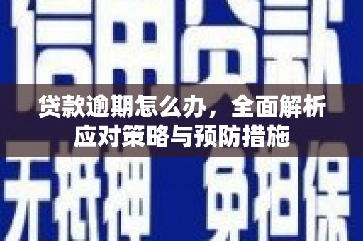 苍溪贷款逾期怎么办，全面解析应对策略与预防措施