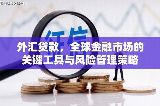 苍溪外汇贷款，全球金融市场的关键工具与风险管理策略