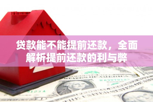 苍溪贷款能不能提前还款，全面解析提前还款的利与弊