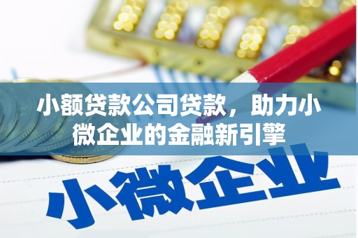 苍溪小额贷款公司贷款，助力小微企业的金融新引擎