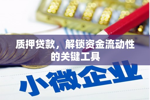 苍溪质押贷款，解锁资金流动性的关键工具