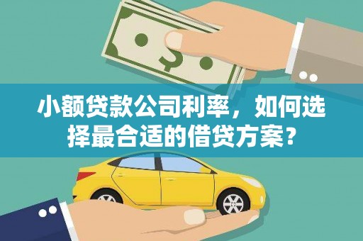 苍溪小额贷款公司利率，如何选择最合适的借贷方案？